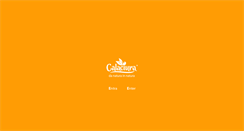 Desktop Screenshot of calaciura.it